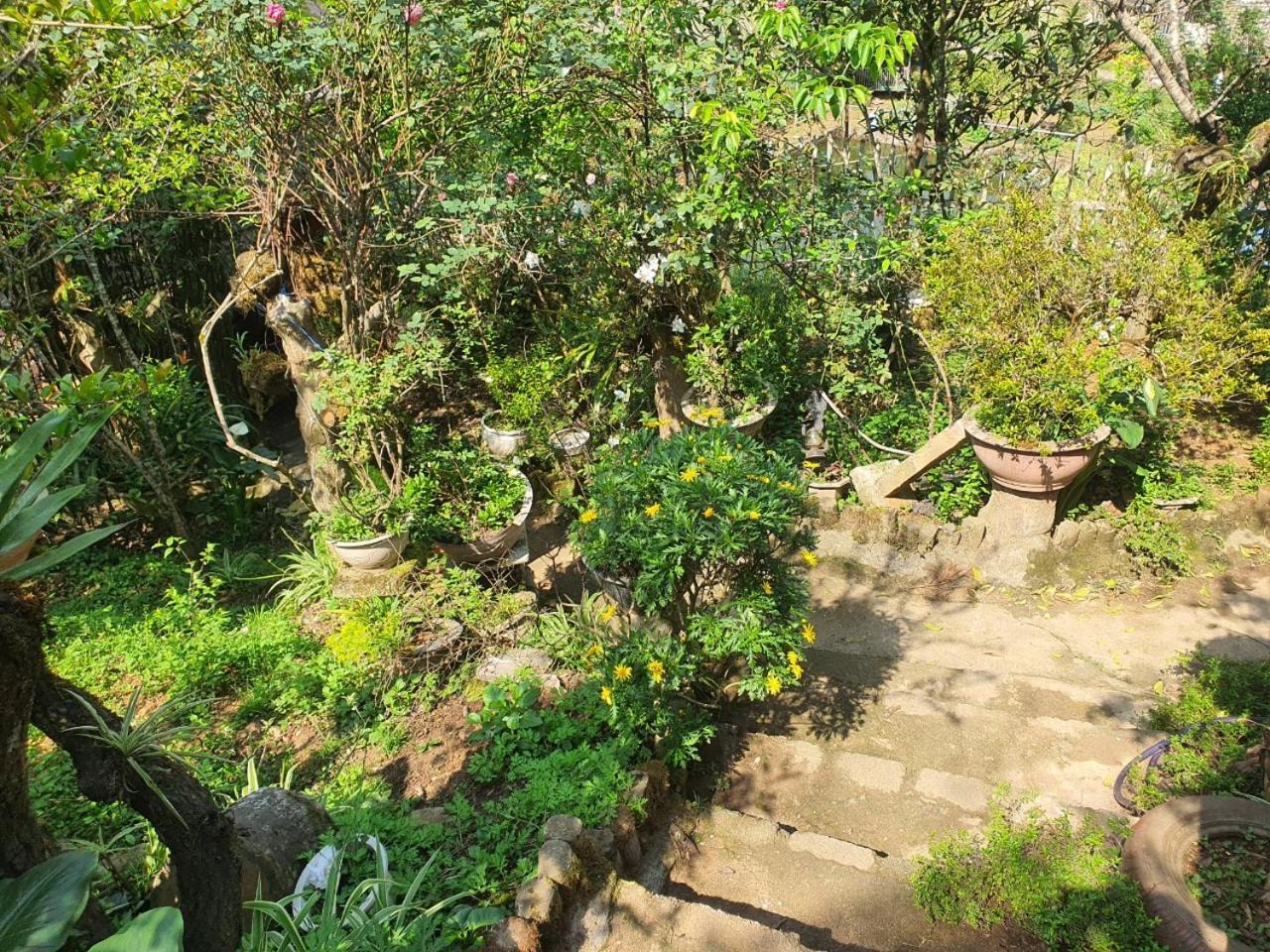 Sapa Garden Bungalow Exterior photo